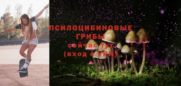 spice Аркадак