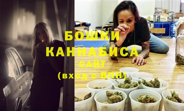 spice Аркадак