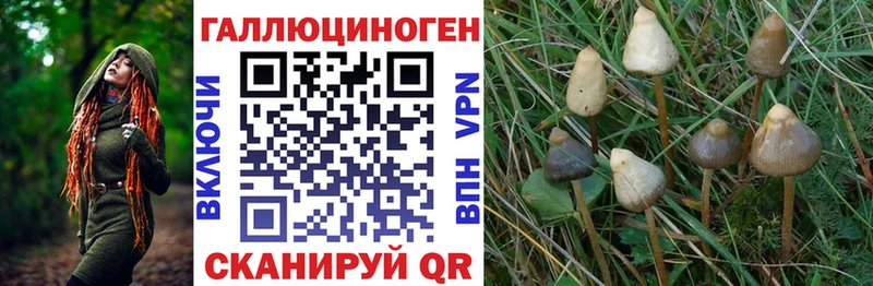дарнет шоп  Междуреченск  Галлюциногенные грибы ЛСД 